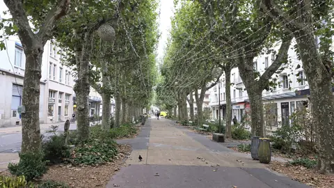 The tree-lined avenue, walked for the second time in twelve hours.