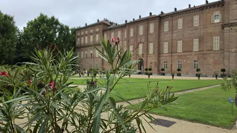 The palace from the garden side.