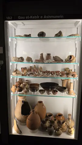 Shelf after shelf of pots, sorted and labelled.