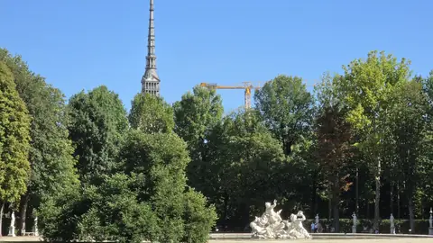 The Mole over the treetops, from the park.