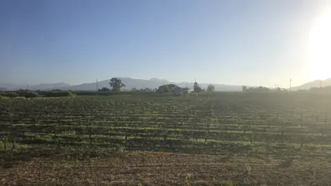 Turin to Naples, day 5, 07:32