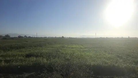 Turin to Naples, day 5, 07:42