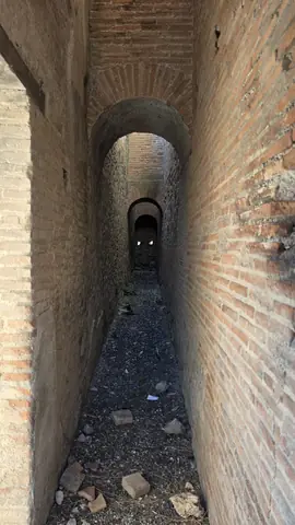Pompeii, day 6, 09:33