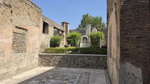 A courtyard with its garden, and columns all the way round.
