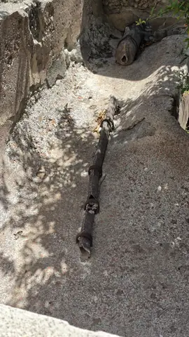 Pompeii, day 6, 12:09