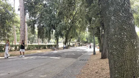 Naples to Rome, day 7, 15:15
