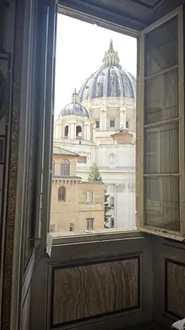 A window, and St Peter's dome sitting in it.