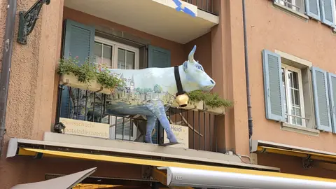 A painted cow in a shop window, unexplained.