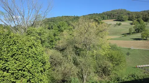Zurich to London, day 11, 10:14